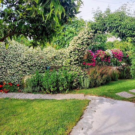 Summer Village House Popi Κανακάδες Εξωτερικό φωτογραφία