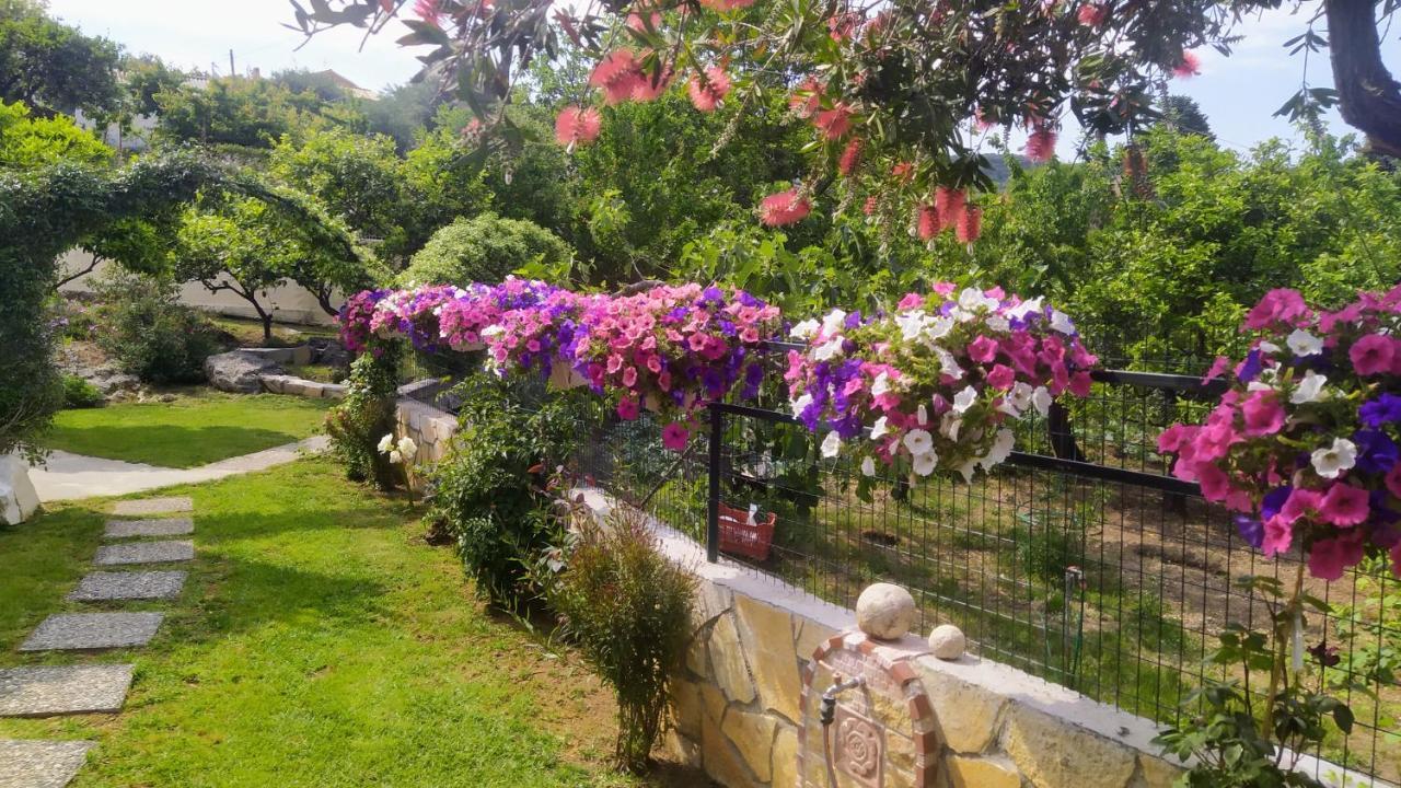 Summer Village House Popi Κανακάδες Εξωτερικό φωτογραφία