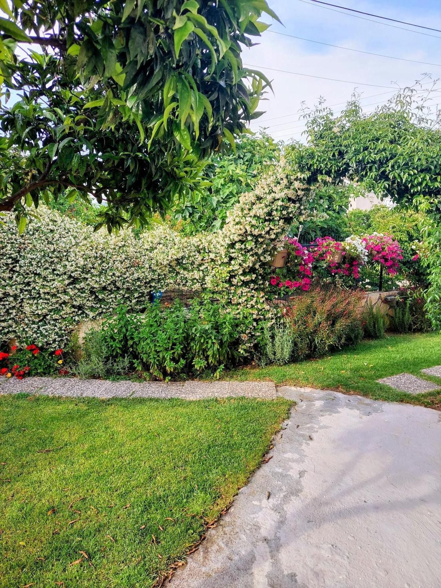 Summer Village House Popi Κανακάδες Εξωτερικό φωτογραφία