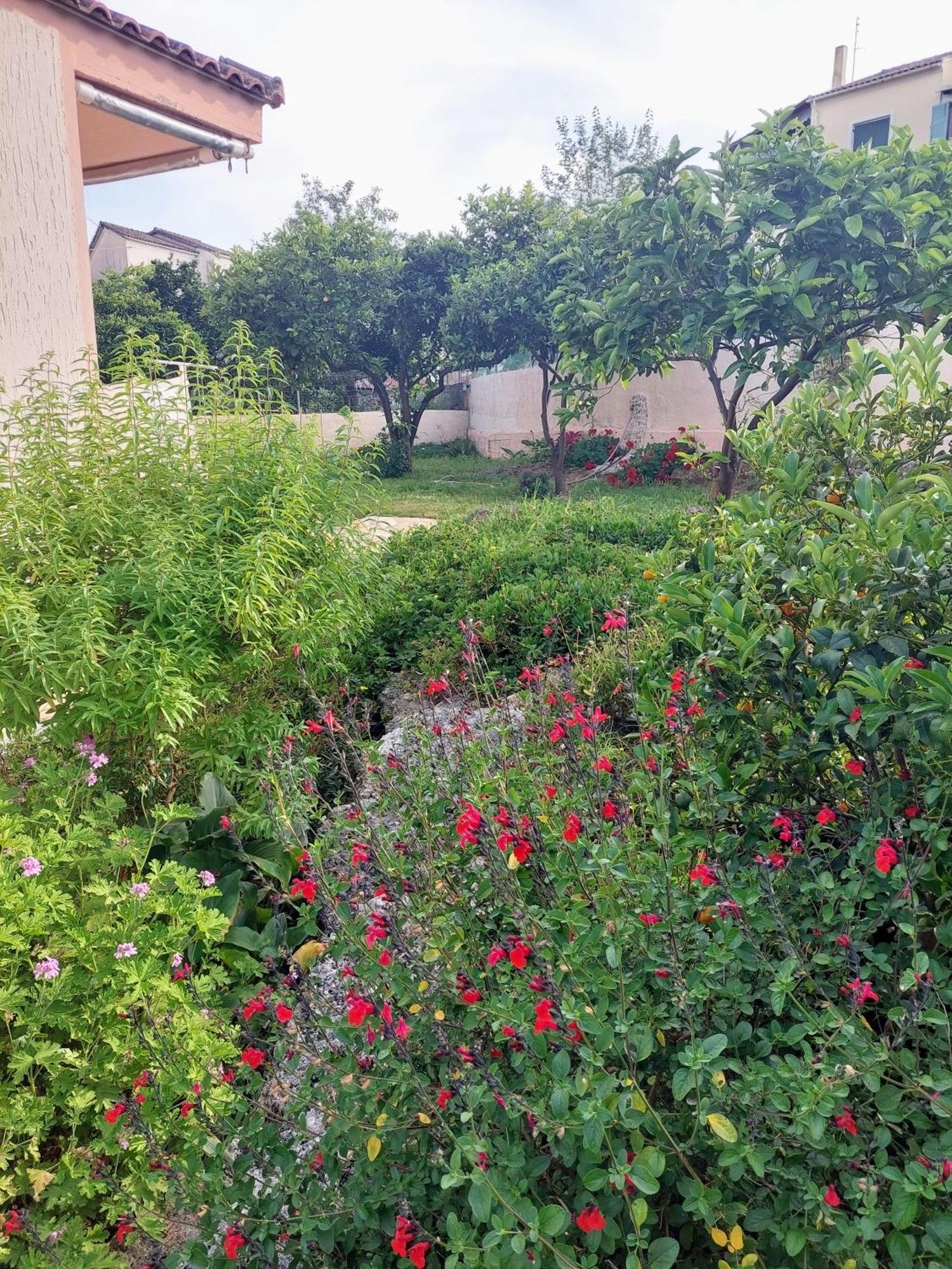 Summer Village House Popi Κανακάδες Εξωτερικό φωτογραφία
