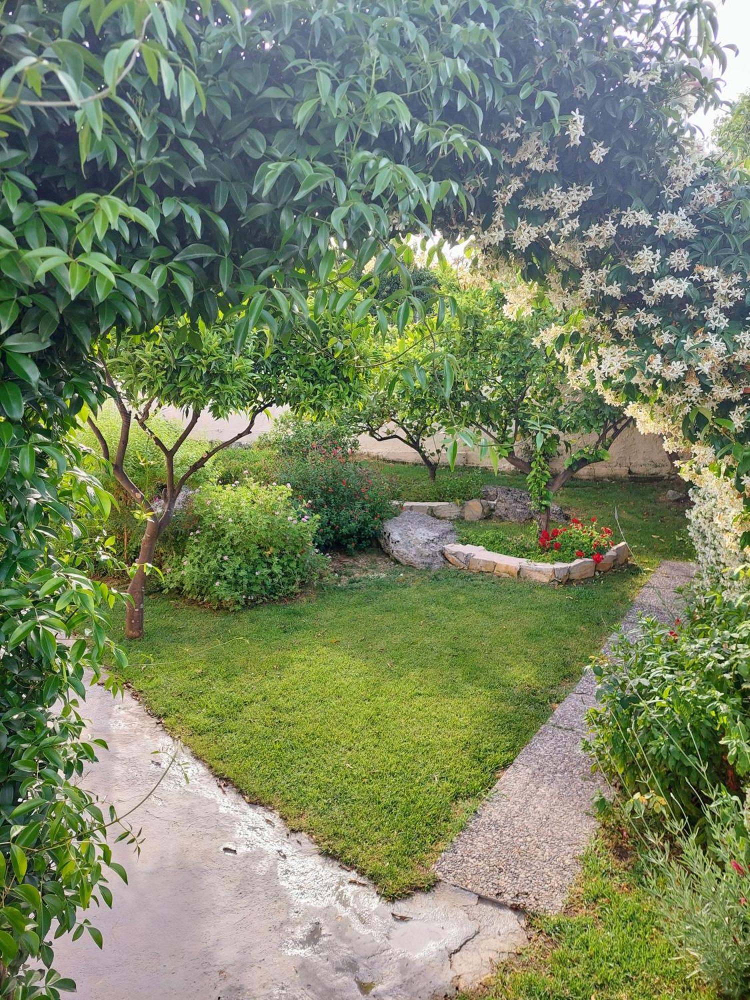 Summer Village House Popi Κανακάδες Εξωτερικό φωτογραφία